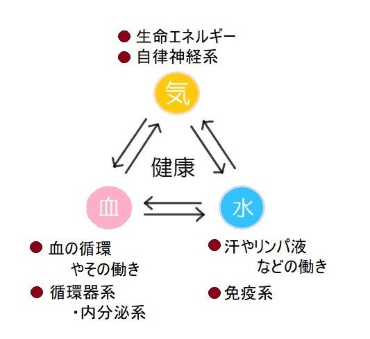 漢方不妊治療の考え方